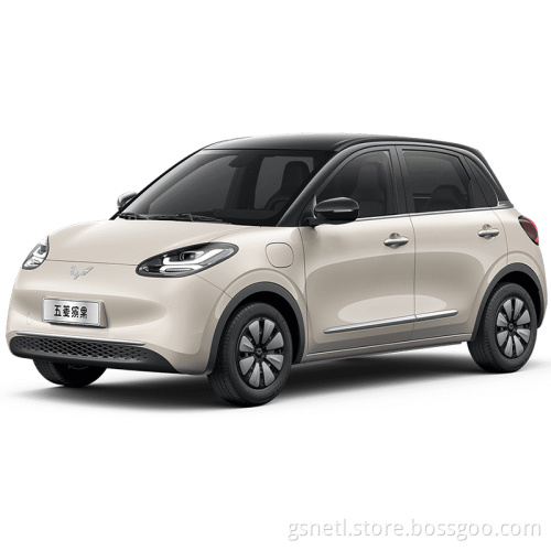 2023 Лучшая продажа Wuling Bingo 333 -километра